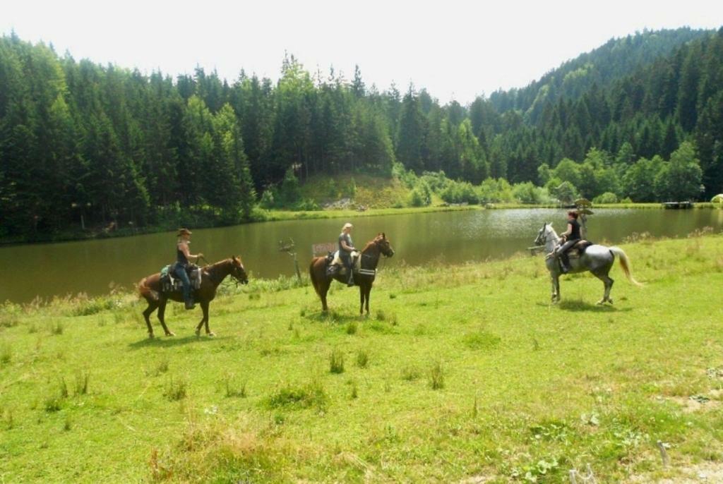 Вилла Wohlfuehlbauernhof Siebernegg Eibiswald Экстерьер фото